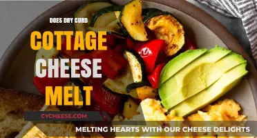 Does Dry Curd Cottage Cheese Melt? Exploring Its Melting Properties