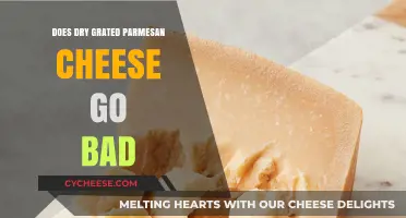 How Long Does Grated Parmesan Cheese Last?