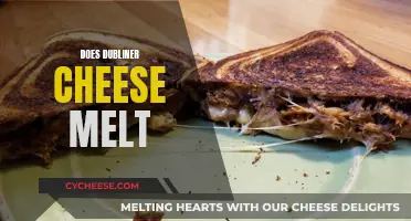 Dubliner Cheese Melting: The Ultimate Guide