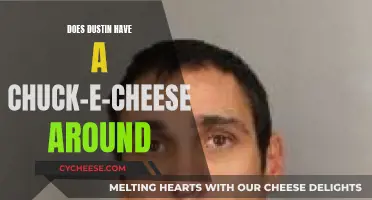 Dustin's Search for Chuck-E-Cheese: A Fun Adventure