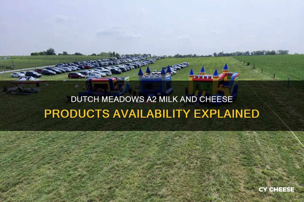 does dutch meadows sell a2 milk or cheese products