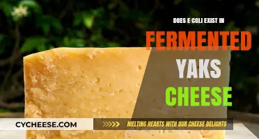 E. Coli in Fermented Yak Cheese: Fact or Fiction?