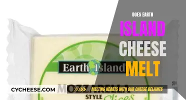 Melting Mystery: Earth Island Cheese's Secrets Revealed