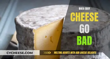 Easy Cheese: Does It Go Bad?