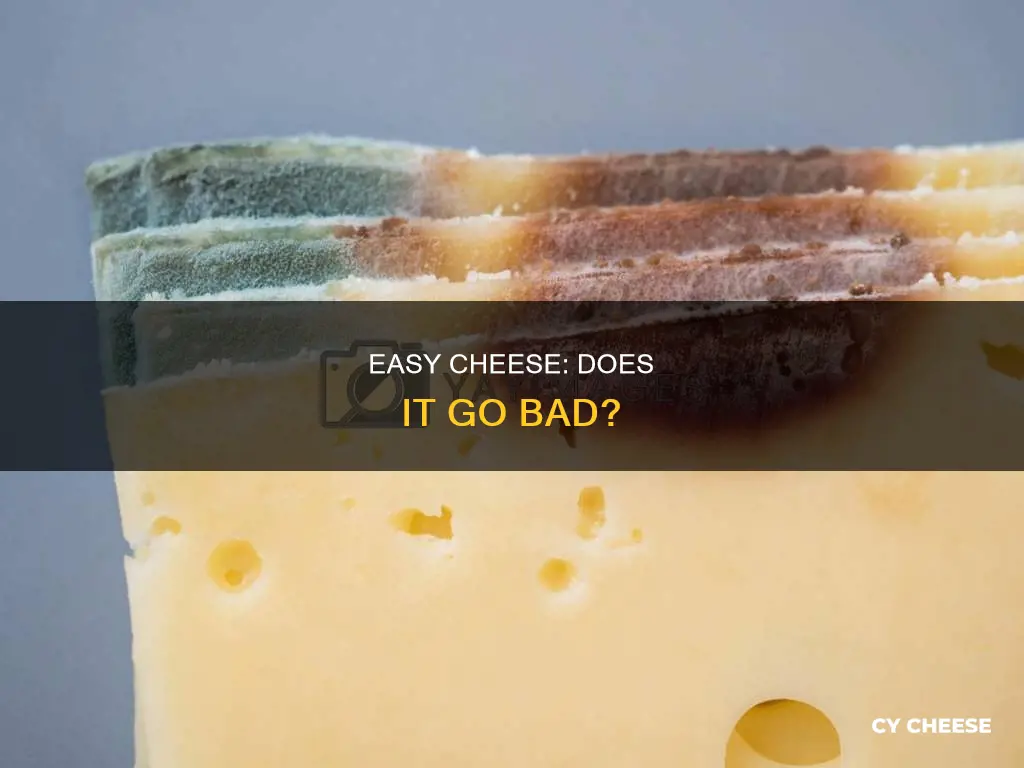 does easy cheese go bad