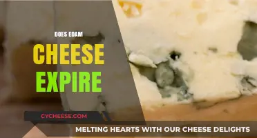Does Edam Cheese Expire? Shelf Life, Storage Tips, and Freshness Guide