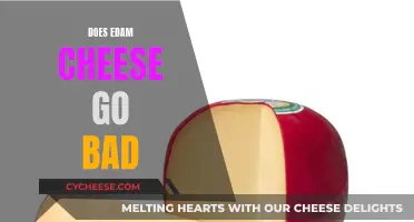 Edam Cheese: How Long Does It Last?