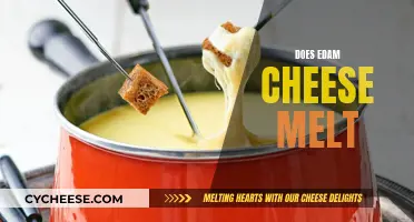 Edam Cheese Melting: The Ultimate Guide