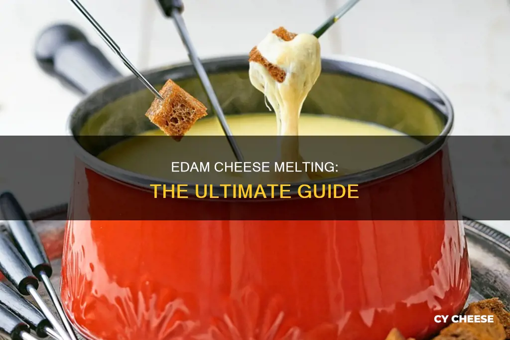 does edam cheese melt