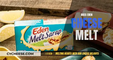 Melted Magic: Does Eden Cheese Melt?