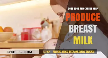 Boosting Breast Milk Supply: The Role of Eggs and Cheese in Lactation