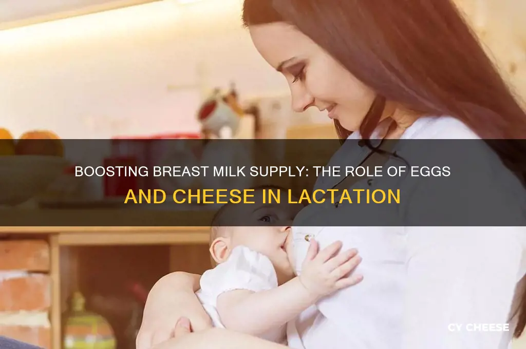 does eggs and cheese help produce breast milk