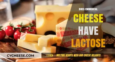 Emmental Cheese and Lactose: What You Need to Know