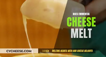Emmental Cheese Melting: The Science Behind It