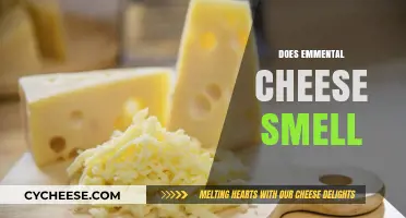 Does Emmental Cheese Smell? Uncovering the Truth About Its Aroma