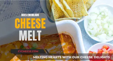 Enchilado Cheese: Melting Magic or Messy Mishap?