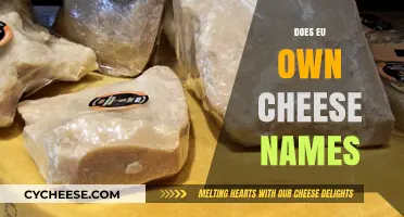 Does the EU Own Cheese Names? Unraveling Protected Designation Origins