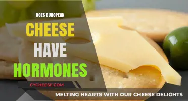 European Cheese and Hormones: Unraveling the Truth Behind the Myth