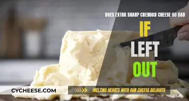 Extra Sharp Cheddar's Shelf Life: Does It Go Bad When Left Out?