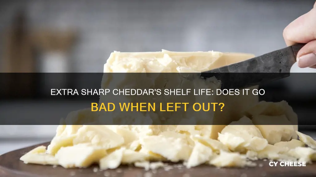 does extra sharp cheddar cheese go bad if left out