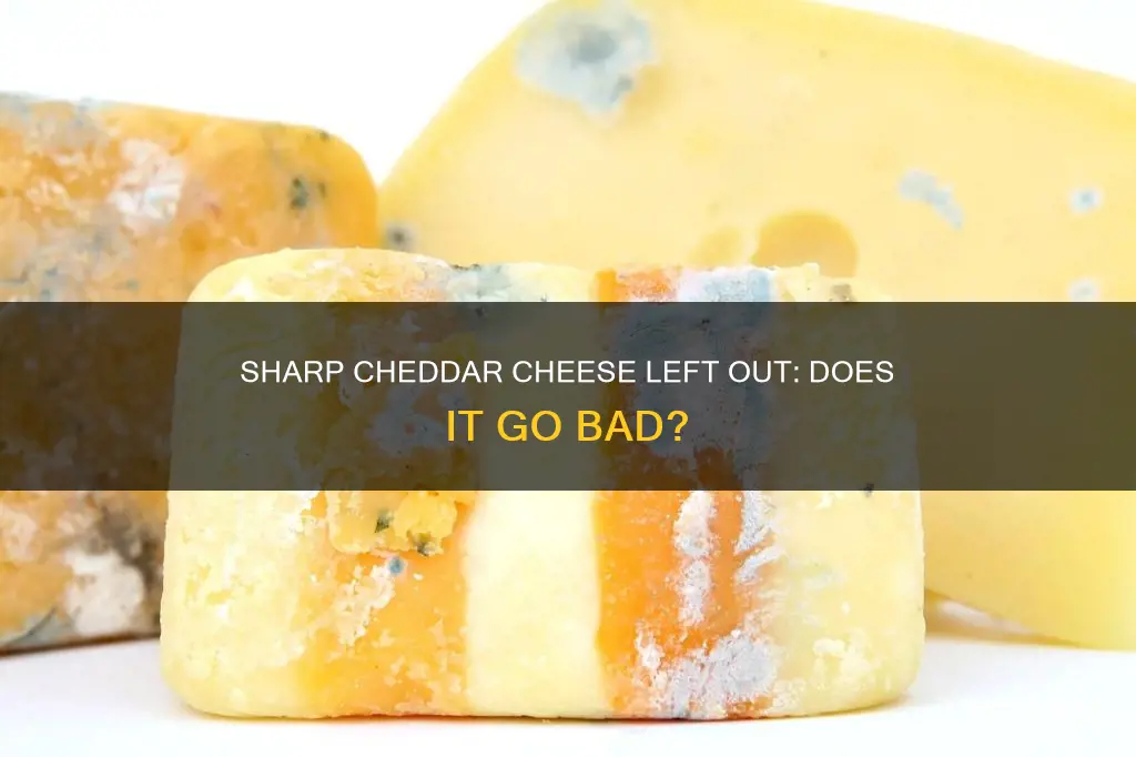 does extra sharp cheddar cheese go bad if left out