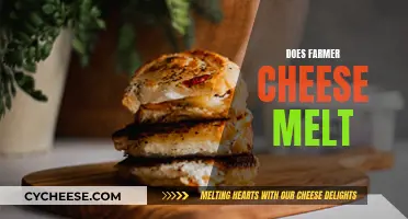 Farmer Cheese Melting Mystery: Does it Melt Easily?
