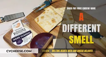 Fat-Free Cheese: Different Smell, Same Taste?