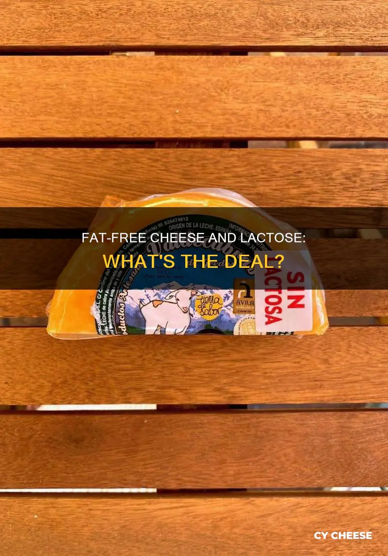 does fat free cheese have lactose