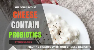 Fat-Free Cottage Cheese and Probiotics: What You Need to Know