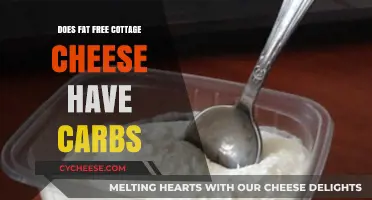 Does Fat-Free Cottage Cheese Have Carbs? Nutritional Breakdown Revealed