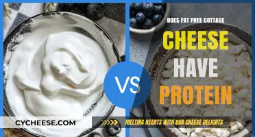 Fat-Free Cottage Cheese: A High-Protein Choice or Myth?