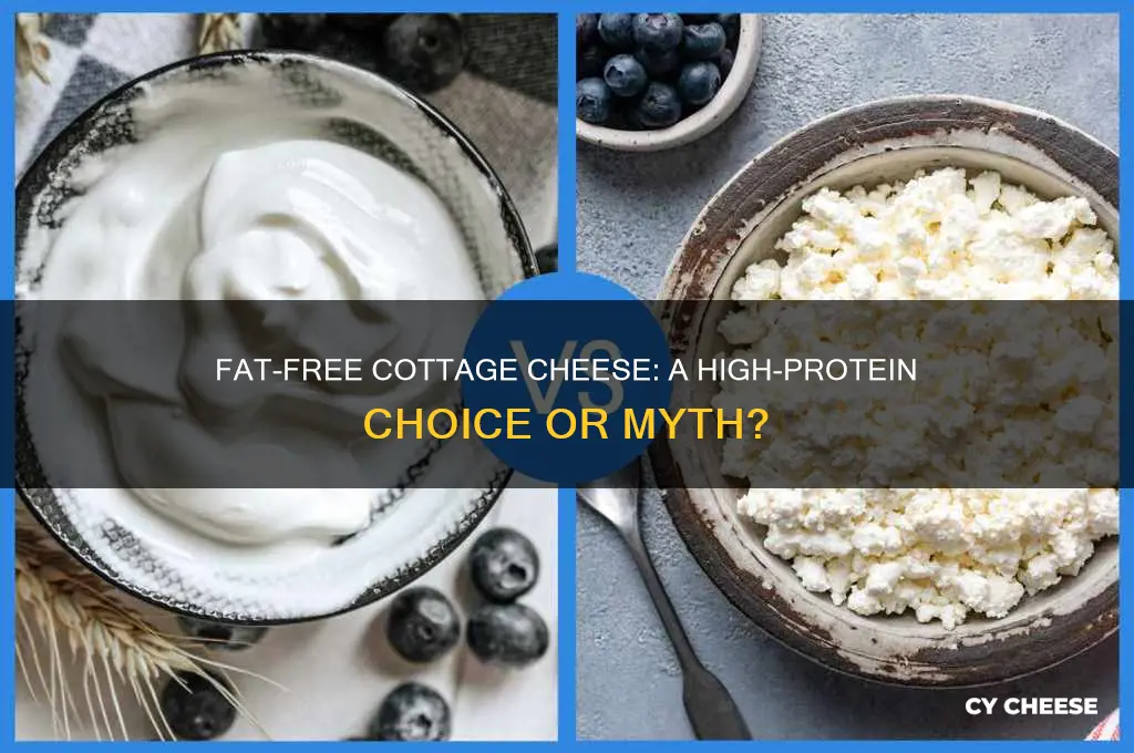 does fat free cottage cheese have protein
