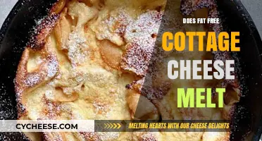 Does Fat-Free Cottage Cheese Melt? A Melting Mystery Explained