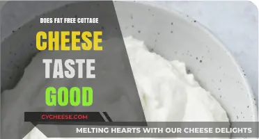 Does Fat-Free Cottage Cheese Taste Good? A Flavorful Review