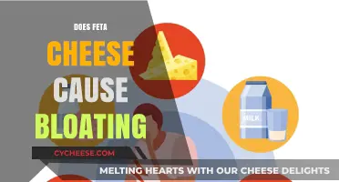 Feta Cheese and Bloating: What's the Connection?