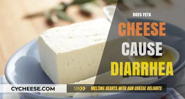 Feta Cheese and Diarrhea: What's the Link?