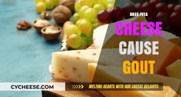 Feta Cheese and Gout: What's the Connection?