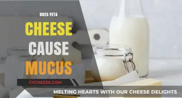 Feta Cheese and Mucus: What's the Connection?