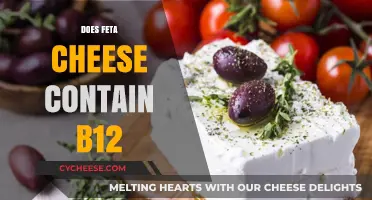 Feta Cheese and B12: What You Need to Know