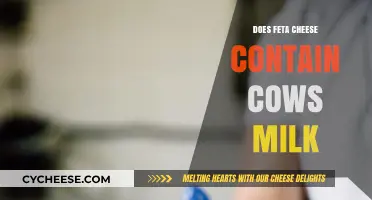 Feta Cheese: Cow's Milk or Goat's Milk?