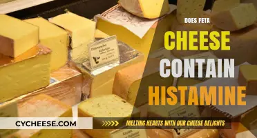 Feta Cheese and Histamine: What's the Connection?