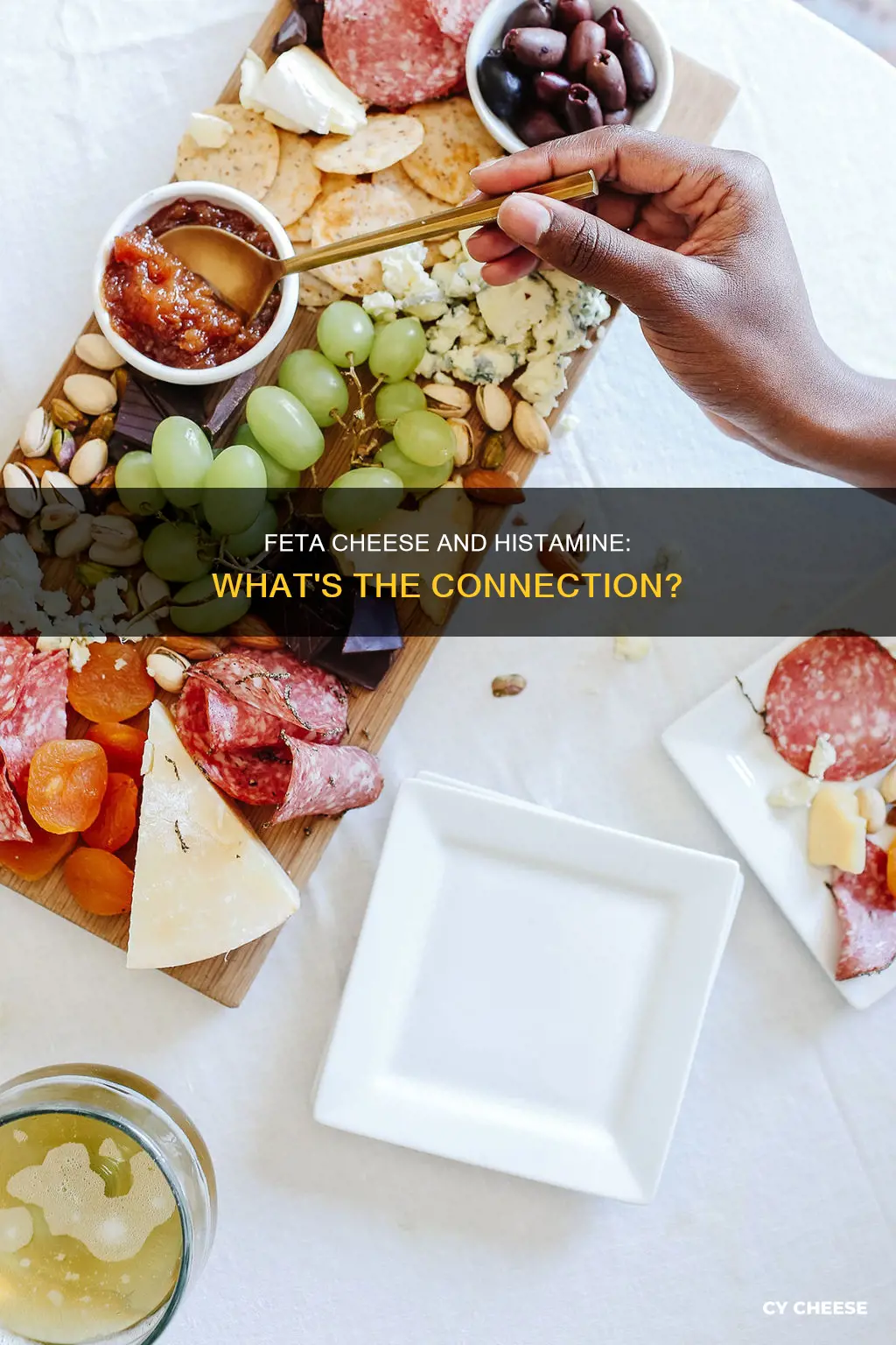 does feta cheese contain histamine