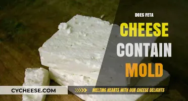 Feta Cheese and Mold: What's the Connection?