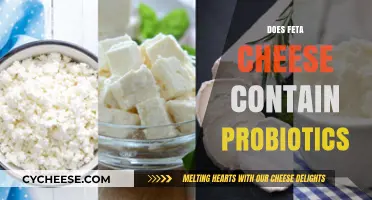 Feta Cheese: A Probiotic Superfood?