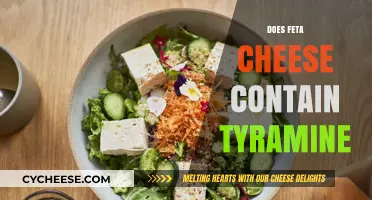 Feta Cheese and Tyramine: What's the Connection?