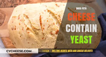 Feta Cheese and Yeast: What's the Connection?