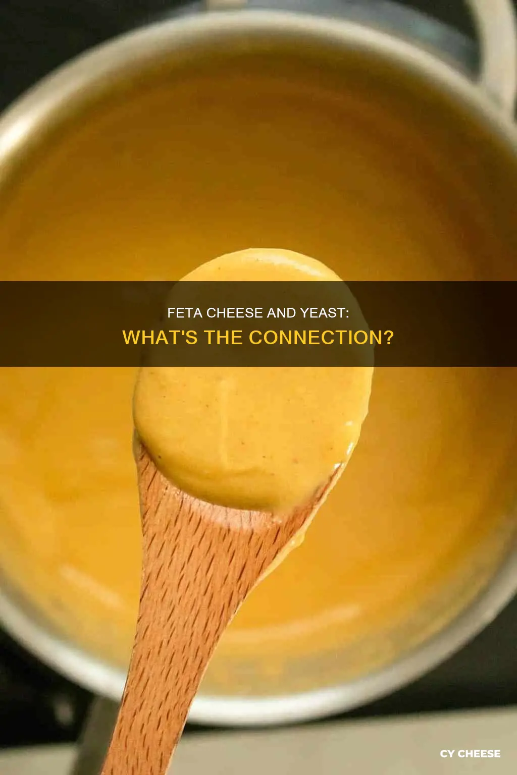 does feta cheese contain yeast