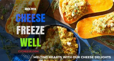 Freezing Feta: Does It Affect Flavor and Texture?