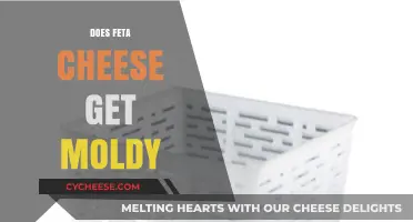 Feta Cheese: Does It Get Moldy?