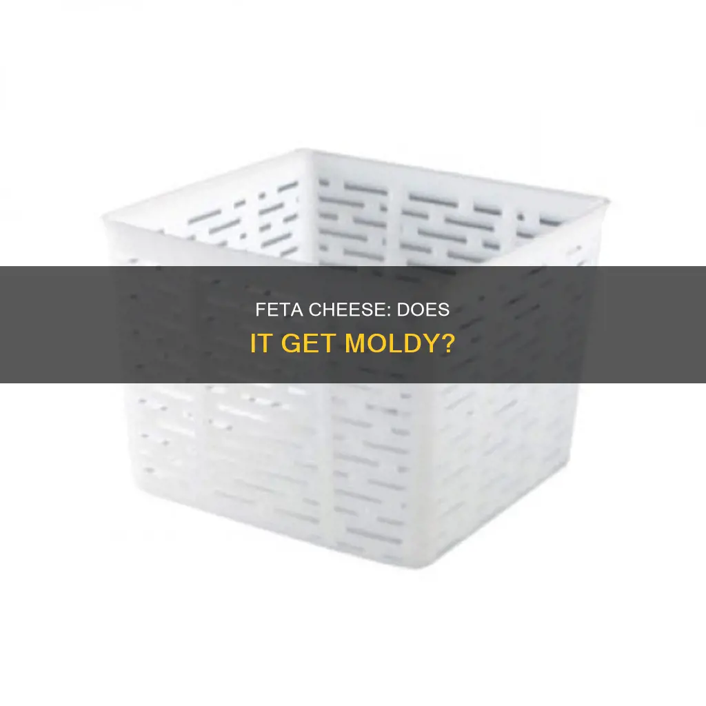 does feta cheese get moldy